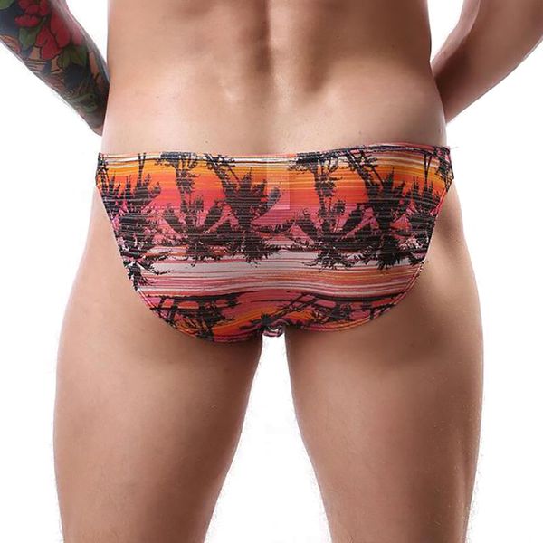 

underwear men's briefs print fashion mesh gay underpants men brief 5 color calzoncillos cueca male panties, Black;white
