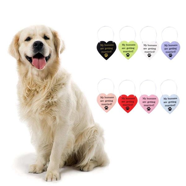 

dog collars & leashes pet decoration wedding hanging tag delicate anniversary pendant married memorial for wearing