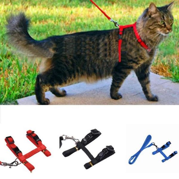 

cat harness and leash 3 colors nylon products for animals adjustle pet traction belt kitten halter collar collars & leads
