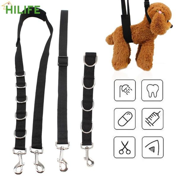 

cat collars & leads dog collar d-rings bathing band hair cutting harness pet supplies grooming belt strap traction adjustable
