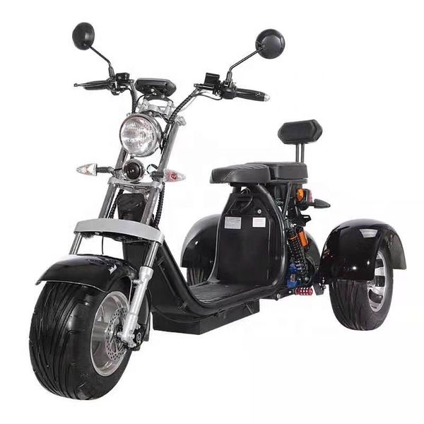 

3 wheel 18inch 60v 20ah 250cc 400cc electric motorcycle