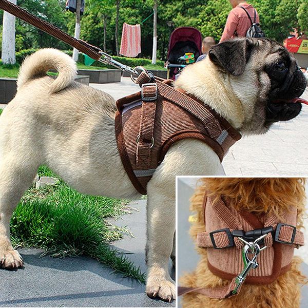 

dog collars & leashes vest leash teddy small pet pug extendable retractable universal walker harness