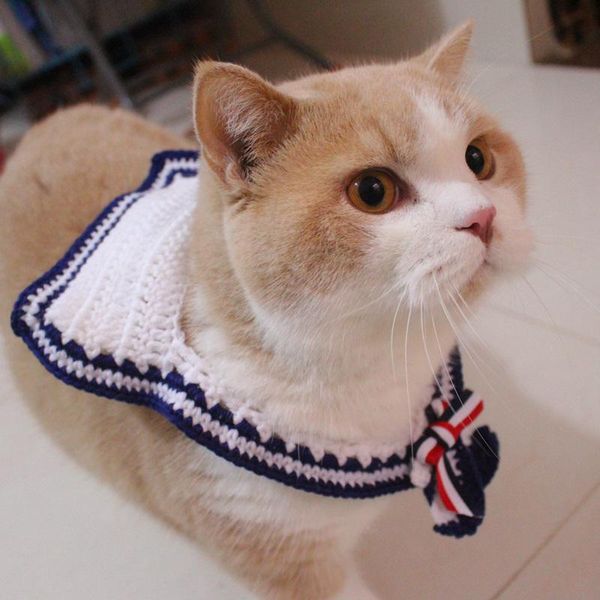 

cat collars & leads collar navy