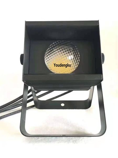 

2pcs mini 60w cob warm white or cool white led par club stage party lighting
