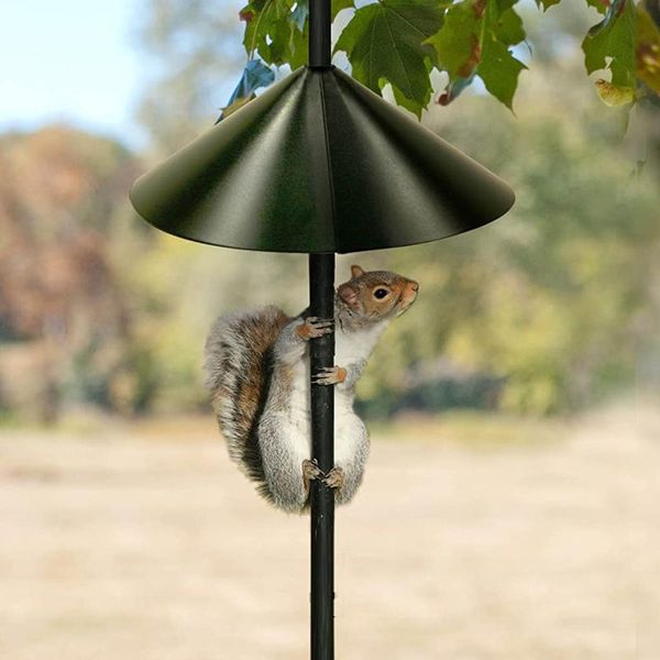 

wrap around squirrel baffle 16-inch unique yard garden decor accessories outdoor ornaments tools shade