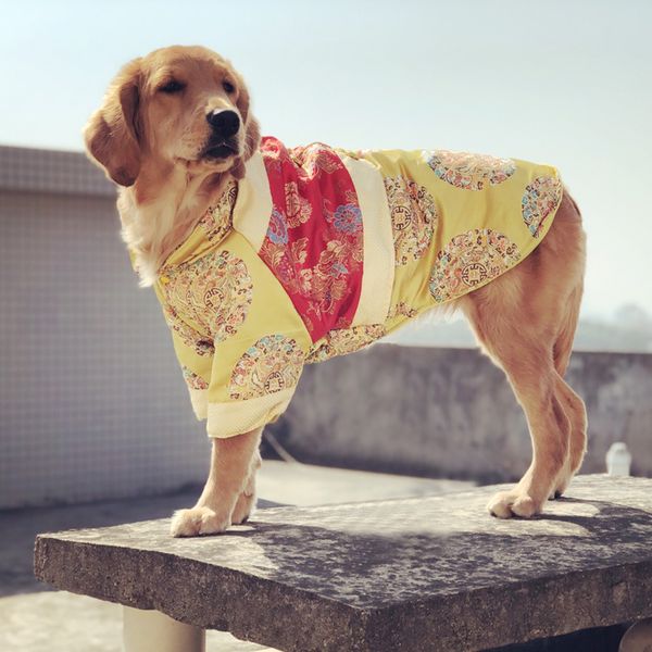 

big dog cloth big year tang gold wool cotton labrador year ftive pet winter