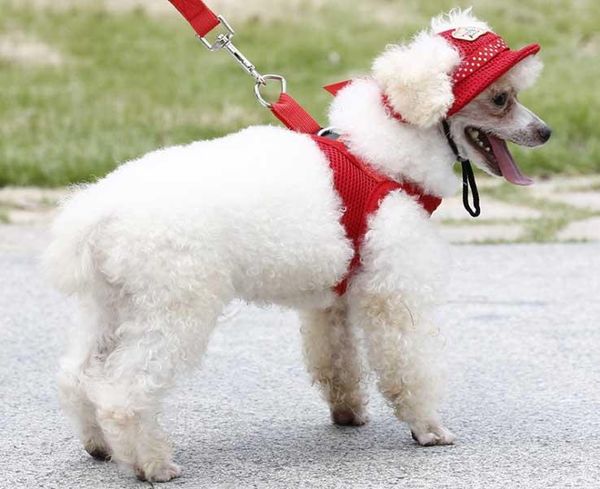 

visors pet dog hat summer sun protection cap hats, Blue;gray