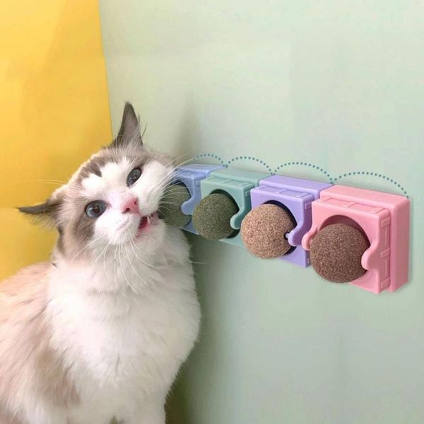 

cat toys pet supplies safe catnip toy chewing wall-mounted for indoor