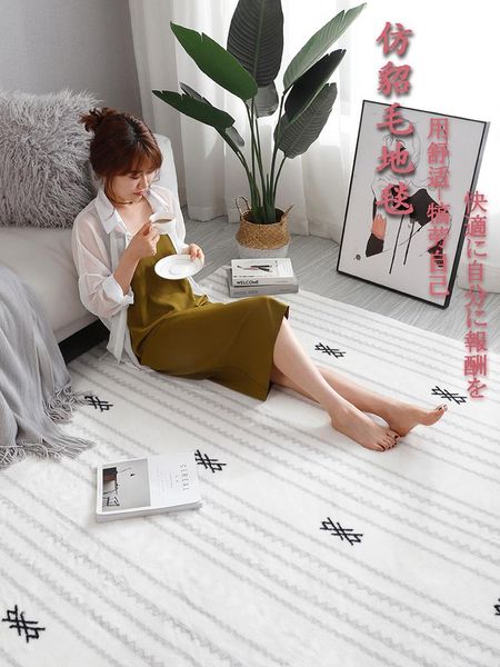 

carpets soft carpet living room bay window home rug for bedroom modern girl bedside long plush nordic fluffy large size kids