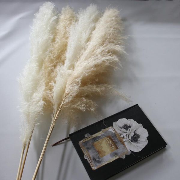 

decorative flowers & wreaths pampas grass decor white color fluffy natural dried bleached bouquet boho vintage style for wedding home christ