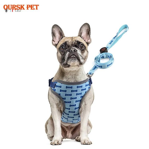 

dog collars & leashes led nylon pet cat harness flashing light collar safety leash rope belt accessories