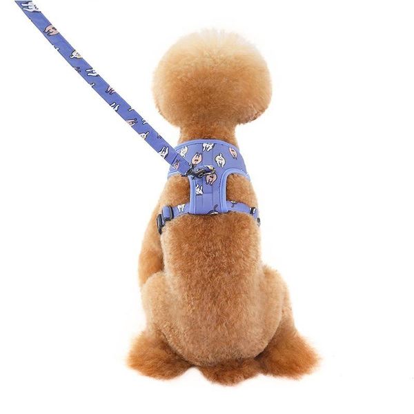 

dog collars & leashes fashionable cute pet lead rope cat traction chest strap sleeve flower design method fighting