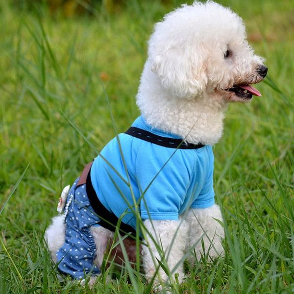 

dog apparel luxury elegant pet products spring summer vest cloth