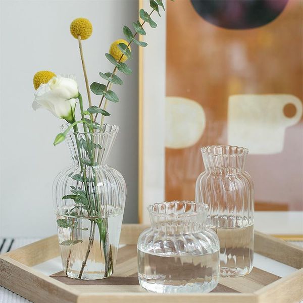 

glass flower cultivation small vase creative decoration container dried transparent living room vases