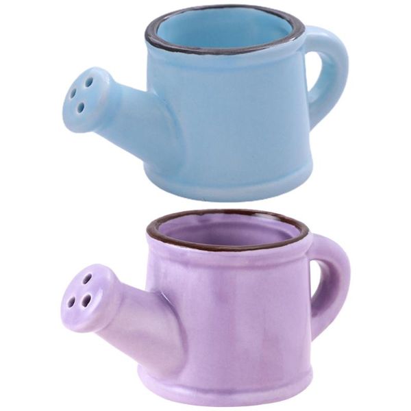 

2pcs ceramics flower watering pots garden pot for home (purple, blue) equipments
