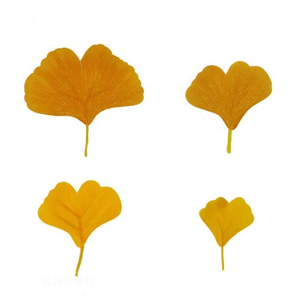 

decorative flowers & wreaths 36pcs simulated plant single ginkgo leaf yellow green combination wedding site atmosphere layout holiday decora