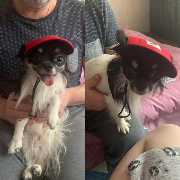 

dog apparel multi-color pet baseball cap puppy sport hat caps-adjustable outdoor sunbonnet