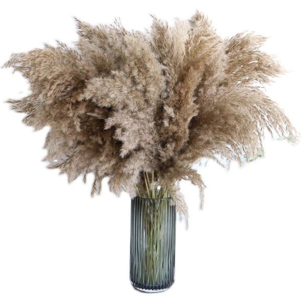 

80cm pampas grass bunch large dried christmas decorations for home wedding flower natural real reed plants decorative flowers & wreaths