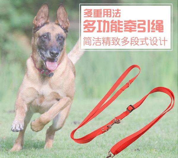 

multi-function pet dog traction safety leash outdoor walking one drag two drawing leads for dogs cats collars & leashes
