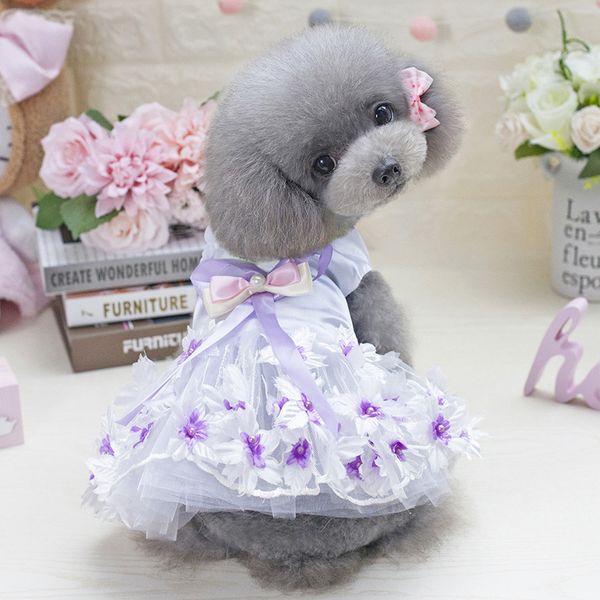 

teddy thin pet wedding drs dog than bear summer cat bridmaid ffy