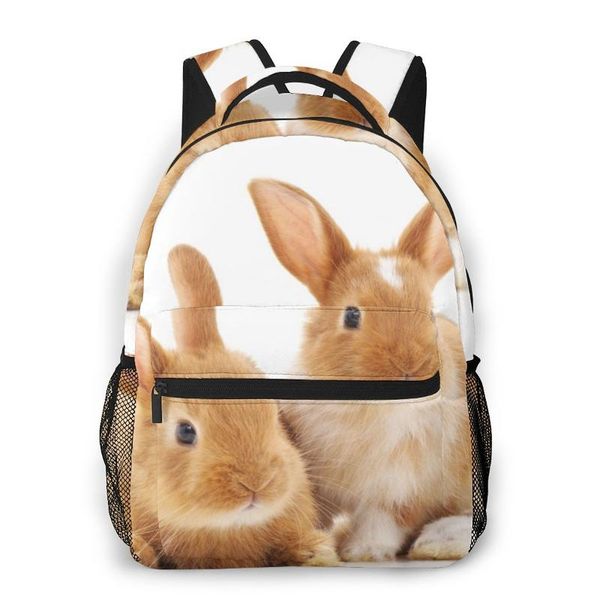 

backpack travel pack two rabbits sports bag outdoor climbing