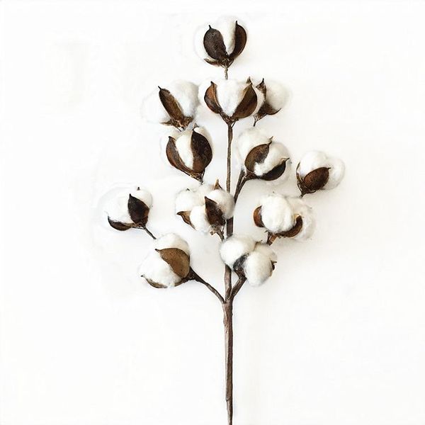 

natural cotton dried stems farmhouse artificial flower filler floral decor fake home bedroom decoration decorative flowers & wreaths