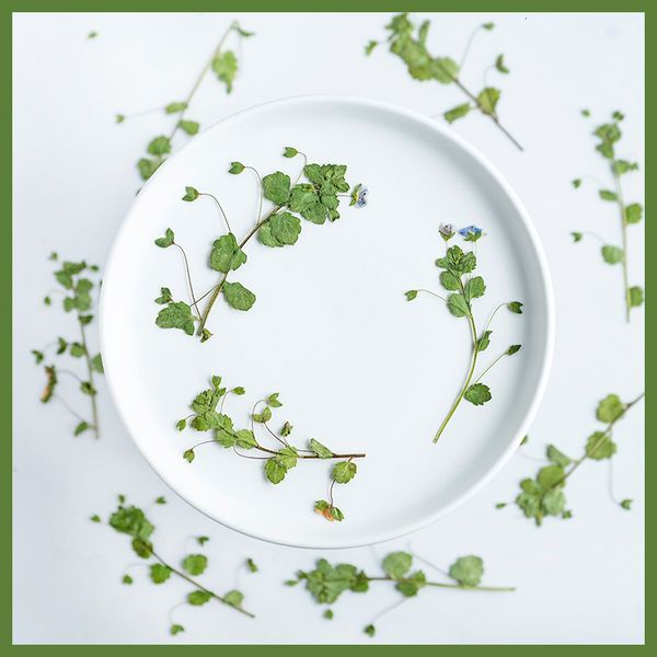 

granna dried flowers, embossed herbaceous plant specimens, manual diy handicraft materials festival gift design