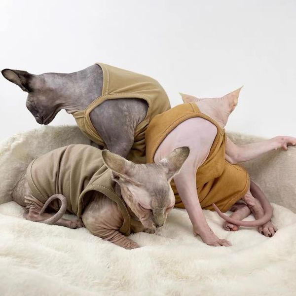 

cat costumes sphinx clothes hairless cotton vest summer sling anti-allergic air-conditioned room mutual belly short-footed