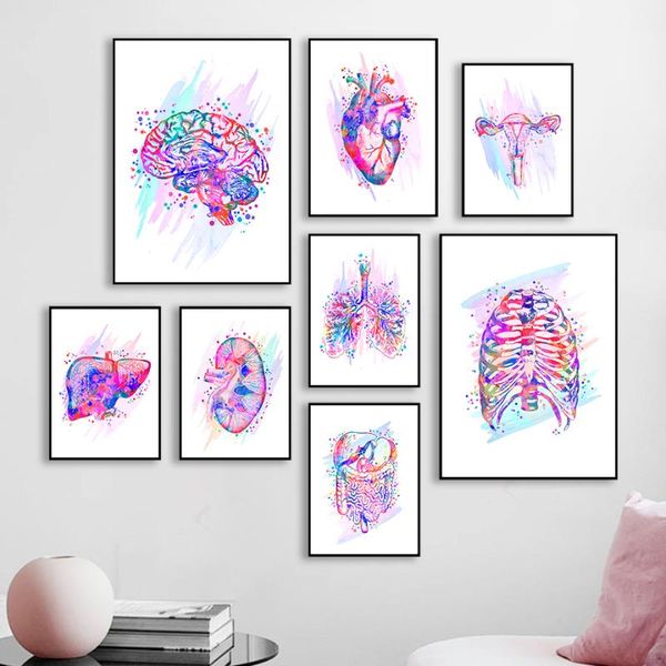 

paintings modern abstract human artwork poster painting wall art picture organ education watercolor canvas for home decor