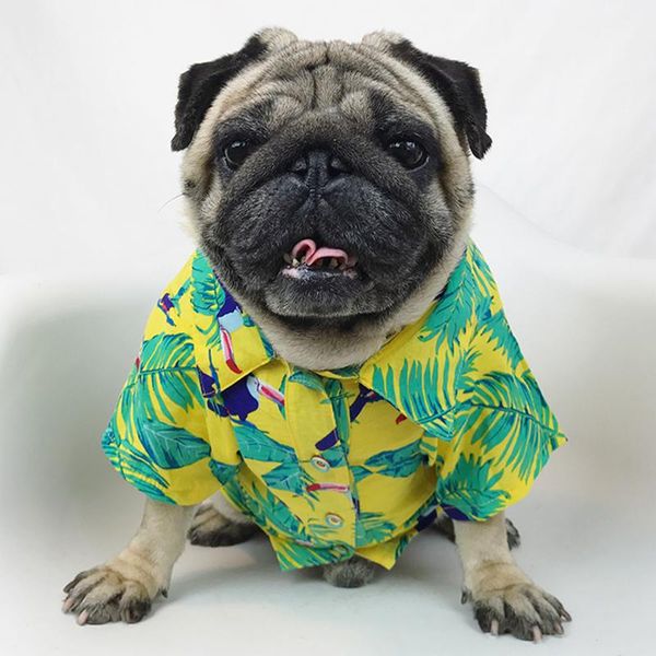 

dog apparel [mpk store] hawaiian shirt for dogs, tropical shirt, summer costume