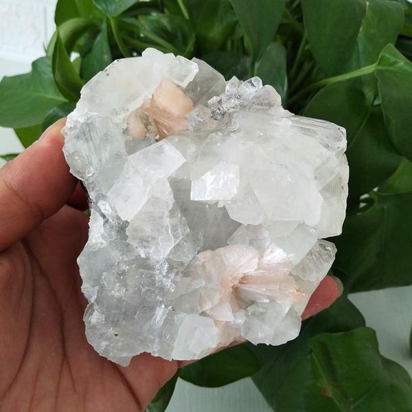 

decorative objects & figurines natural crystals apophyllite minera stone specimens healing stones appreciate teaching and scientific researc