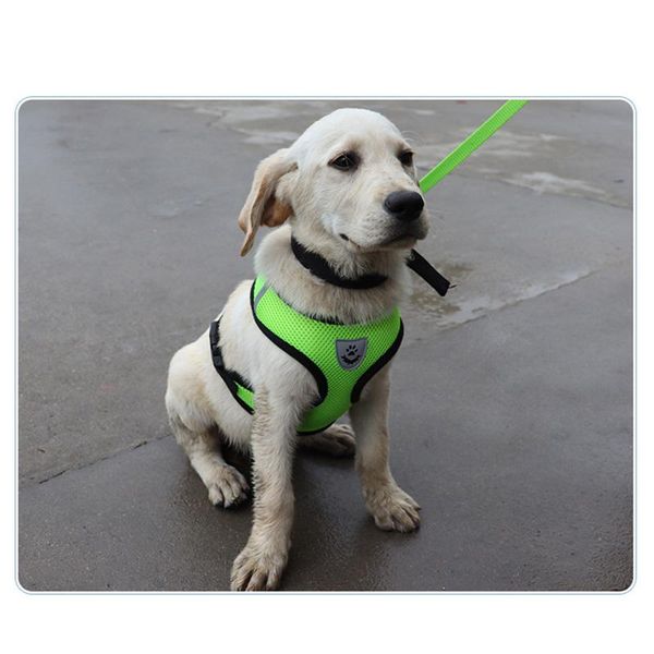 

dog collars & leashes pet tractor vest type leash chest strap supplies cat clothes promotion