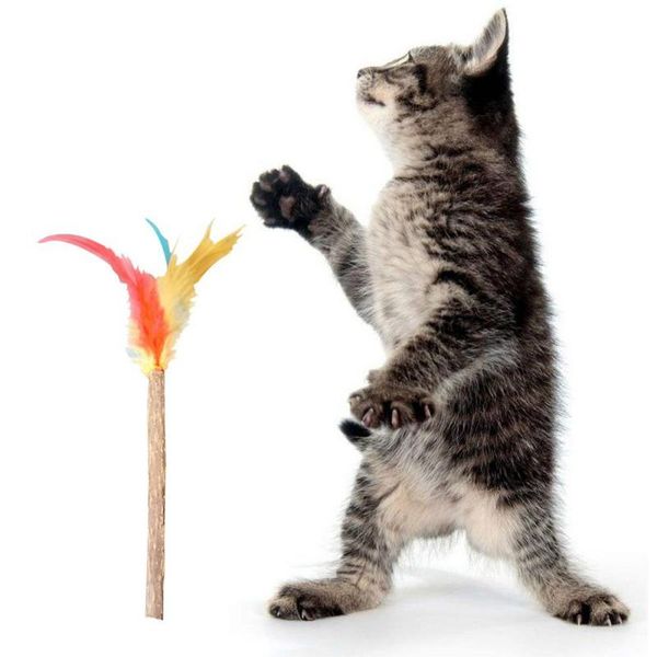 

cat toys feather pet teasing molar interactive funny stick kitten toy (random color)