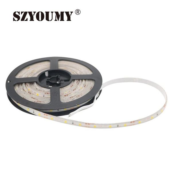 

smd led strip flexible light 12v waterproof 60led/m 100m/lot dhl 100 meters strips