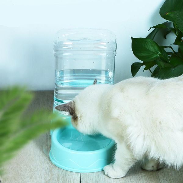 

automatic cat feeder pet for cats dog water dispenser plastic supplies bowls & feeders