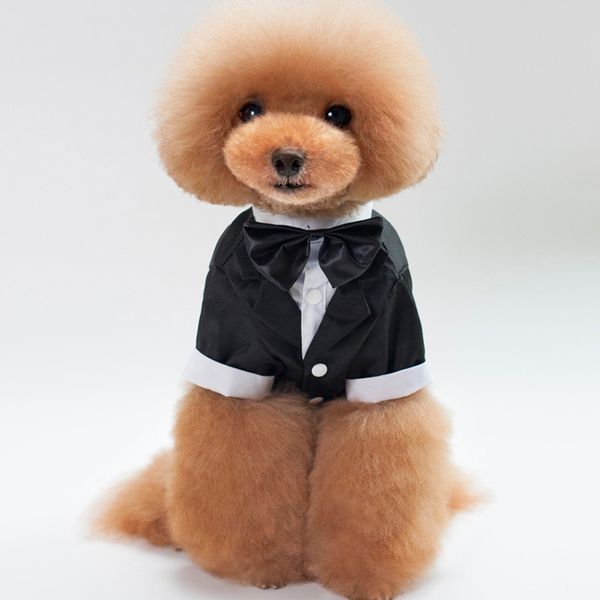 

Dog Clothe Pet Clothing Supply Wedding Gowns Costume Cute Dog Apparel Suits Dog Cothing Sports Clothing for Dogs Cartoon Pet t-shirt Teddy, Black