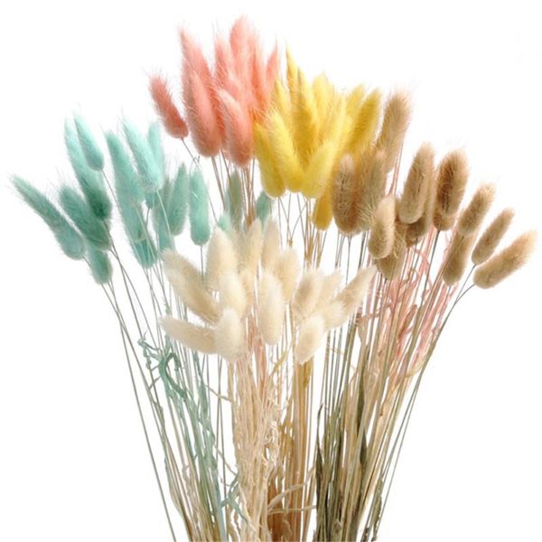 

decorative flowers & wreaths 50stems tail grass white pink color natural dried bouquet pampas christmas wedding decor