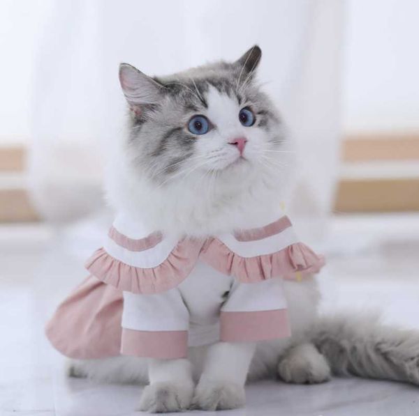 

cat costumes clothes small cats vest casual warm kitten shirt dog coat