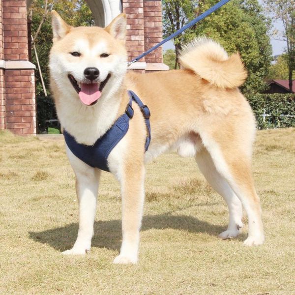 

dog collars & leashes small and medium sized go out traction rope pet chest strap vest type walking reflective supplies