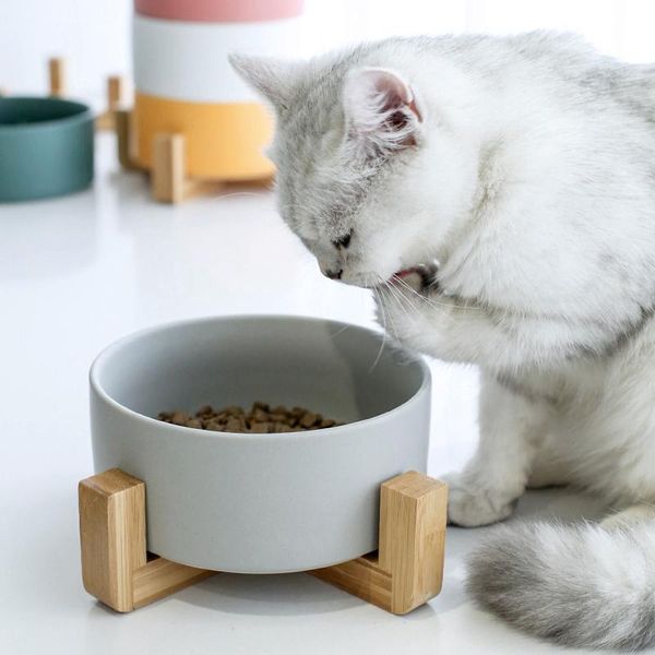 

pet double dog bowl with wood stand ceramic cat for feeder cats matte non-slip dogs accessories bowls & feeders