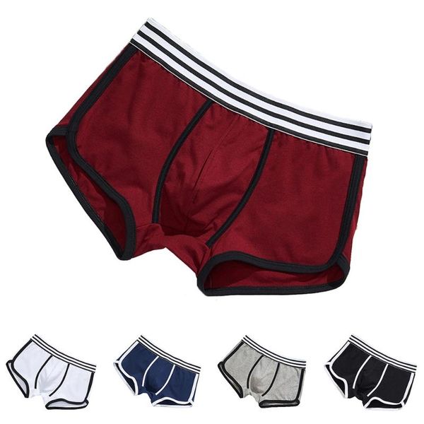 

underpants bikini boxers briefs men shorts u convex pouch underwear cotton soft mini cuecas masculinas, Black;white