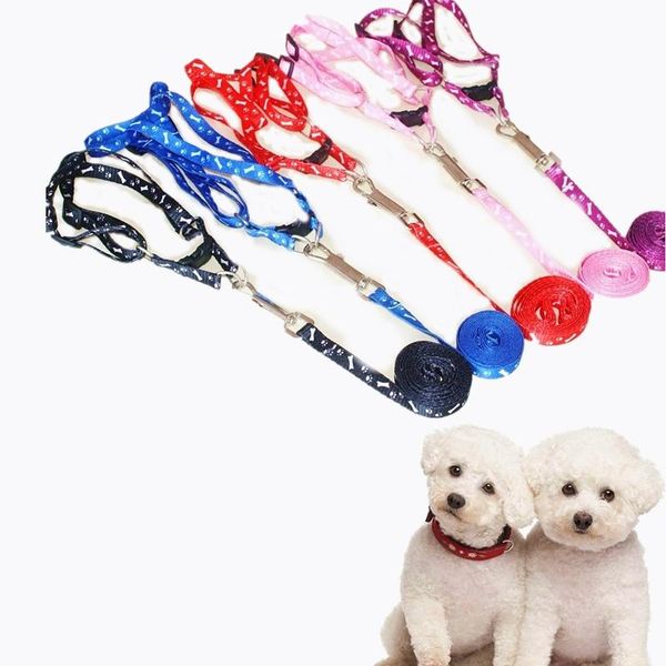 Colares Coleiras De Cão Durável Colorido Poliéster Pet Traction Cat Collar Arnês Leash Peppy Macio Passeio Corrido Cinto Cinto