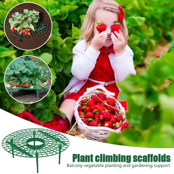 

other garden supplies strawberry plant growth support prevents rot 3pc