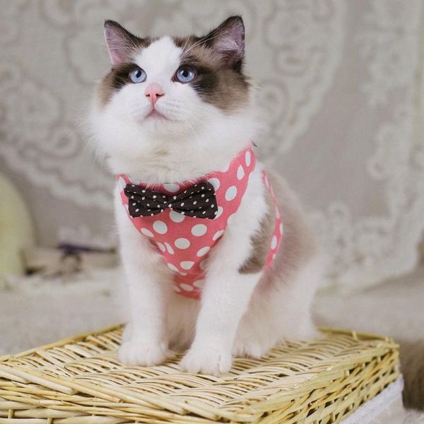 

cat collars & leads chest harness vest type pet rope backtraction clothes tie gray l