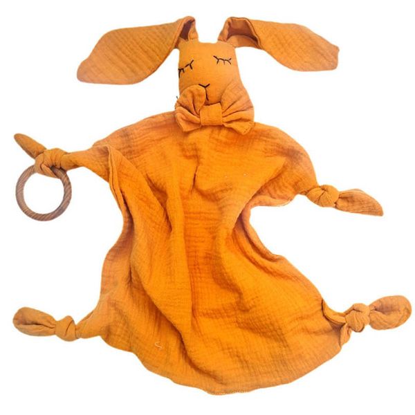 

baby pacifiers weaning teething girls boys feeding infant accessories towel toddler newborn bibs burp cloths natural wooden teeth practice t