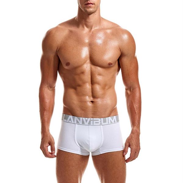 

underpants boxers mens simple soft fit male underwear oxygen breathing surface fitting 6 solid color super elastic boy sport underpanties, Black;white