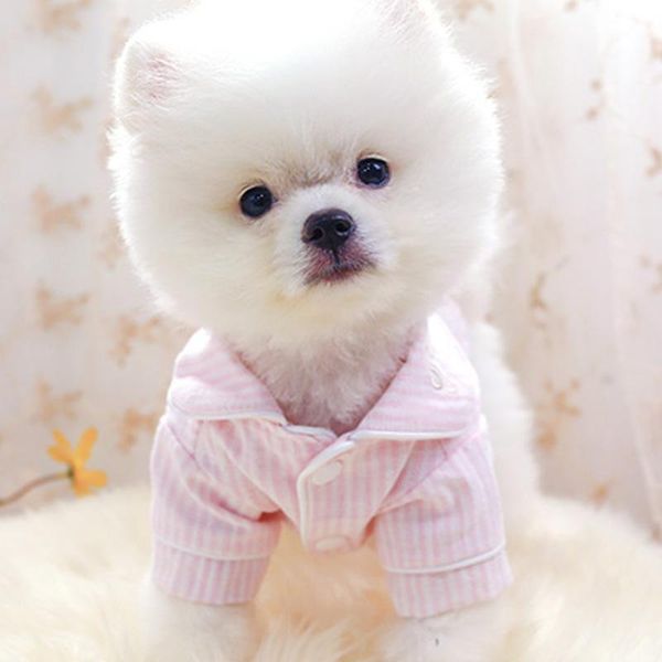 

black striped turn-down collar dog clothes two-legged soft pajamas for dogs bathrobes t-shirt small teddy puppy button girl ropa apparel