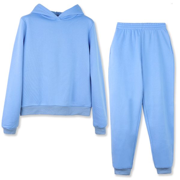 

women's two piece pants sports suits for women casual hooded sweaters sweater vest winter set of two women's garments loose femini, White