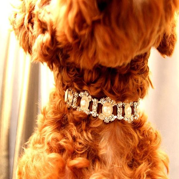 

cat collars & leads fashion pet pendant pearl crystal necklace neck hanging jewelry attractive collar for dog puppy (size)