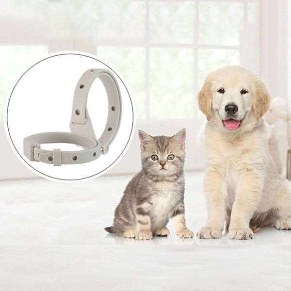

cat collars & leads adjustable dog collar flea tick prevention pet pest control protect rubber killer accessories
